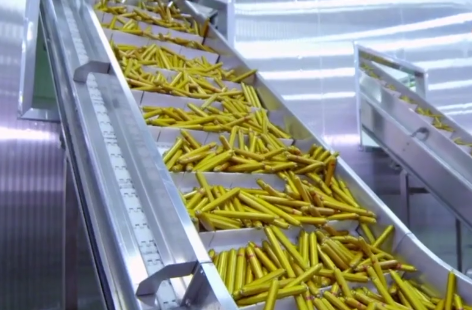 火腿腸生產線視頻